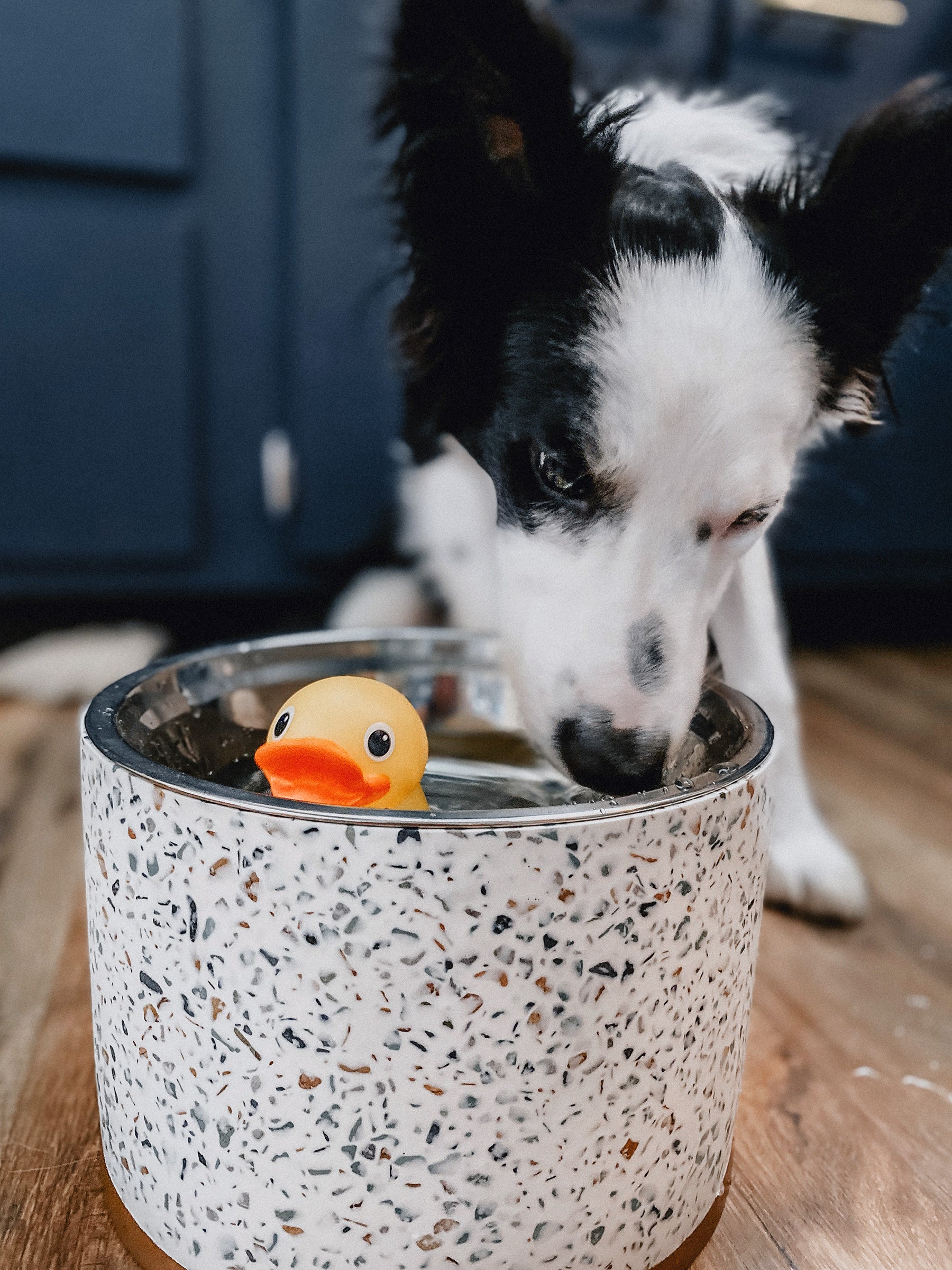 Terrazzo Elevated Dog Bowl