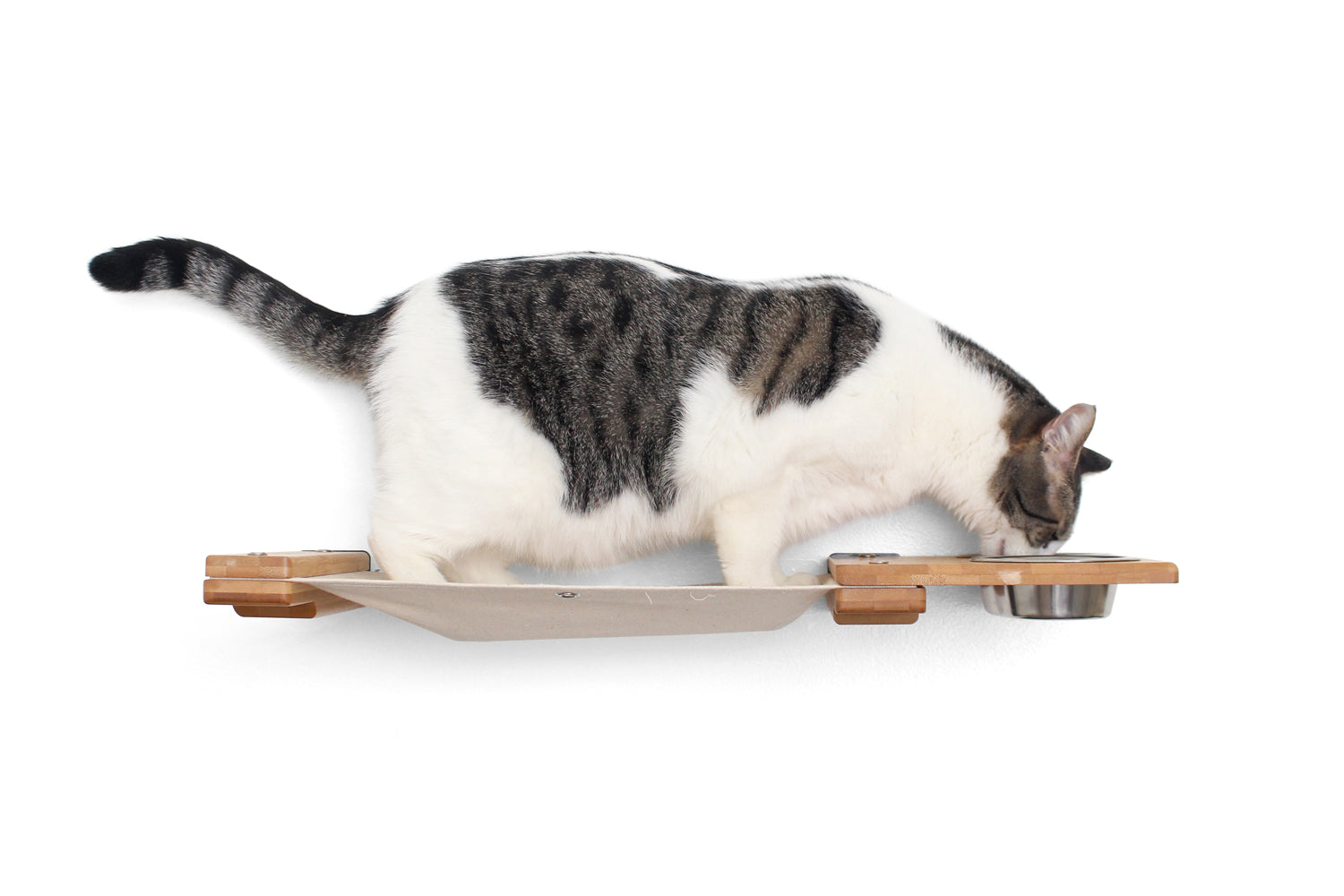 Dog Proof Cat Feeder - Wall-Mounted - Raised