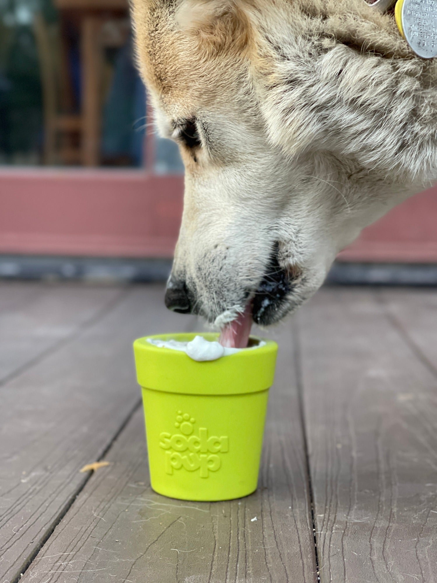 Large Flower Pot Durable PUP-X Rubber Treat Dispenser & Enrichment Toy