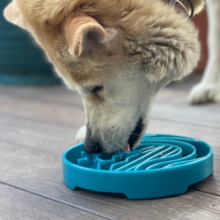 Baja Design eTray Enrichment Slow Feeder Tray for Dogs - Sea Foam