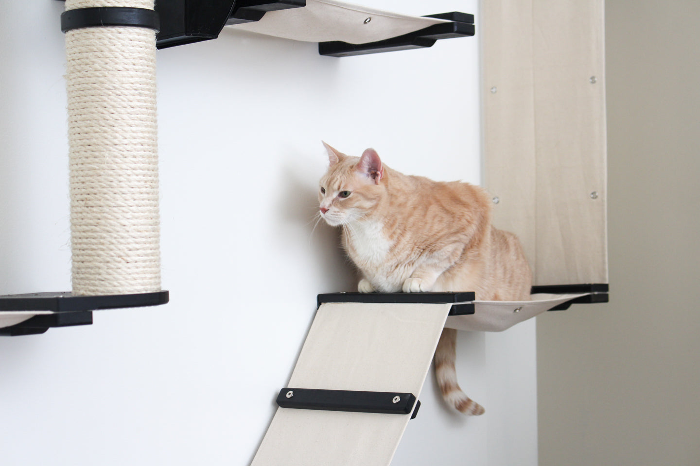 The Gardens - Modern Cat Tree with Plants