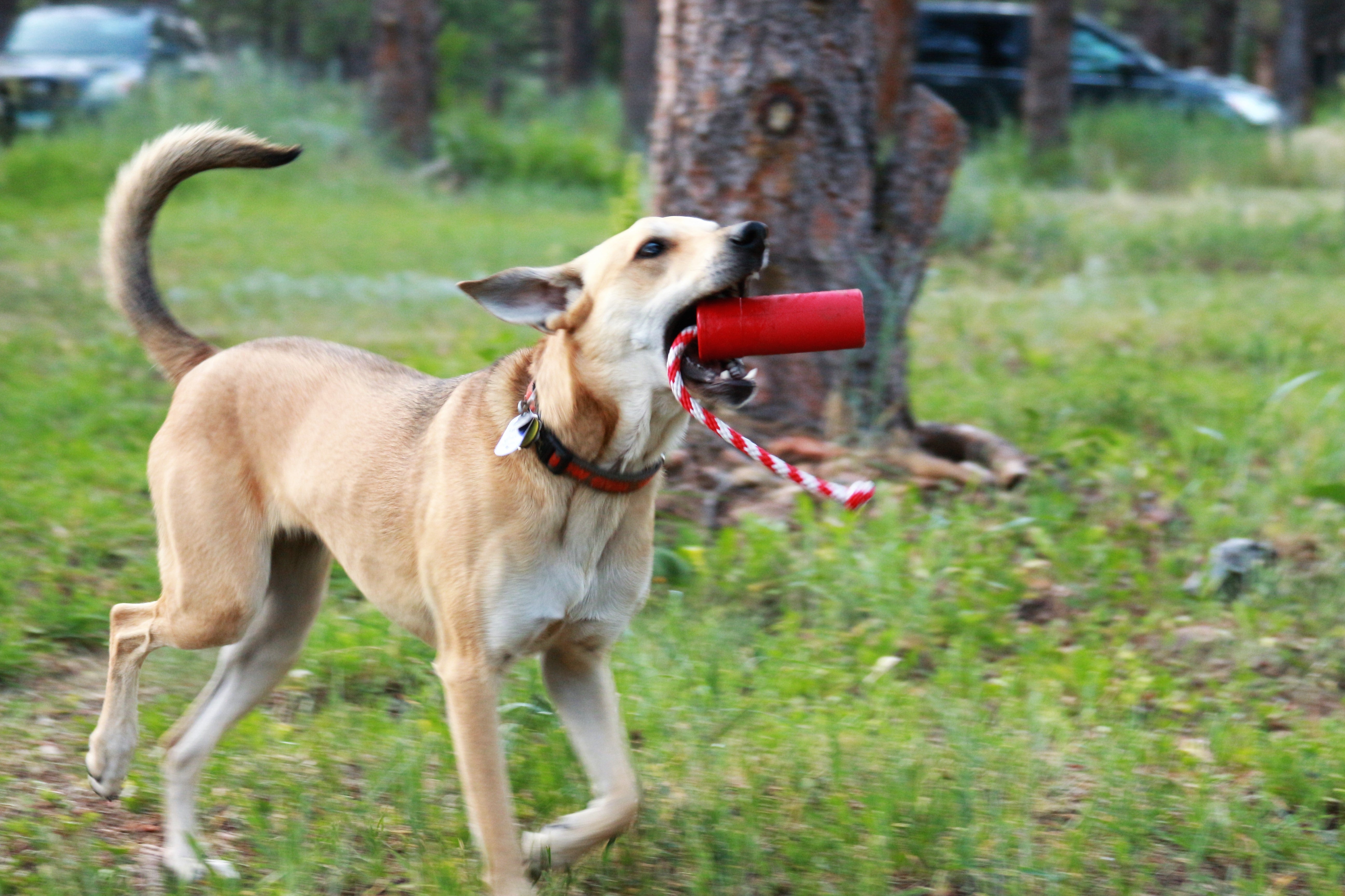 USA-K9 Firecracker Durable Rubber Floating Training Dummy - Large - Red