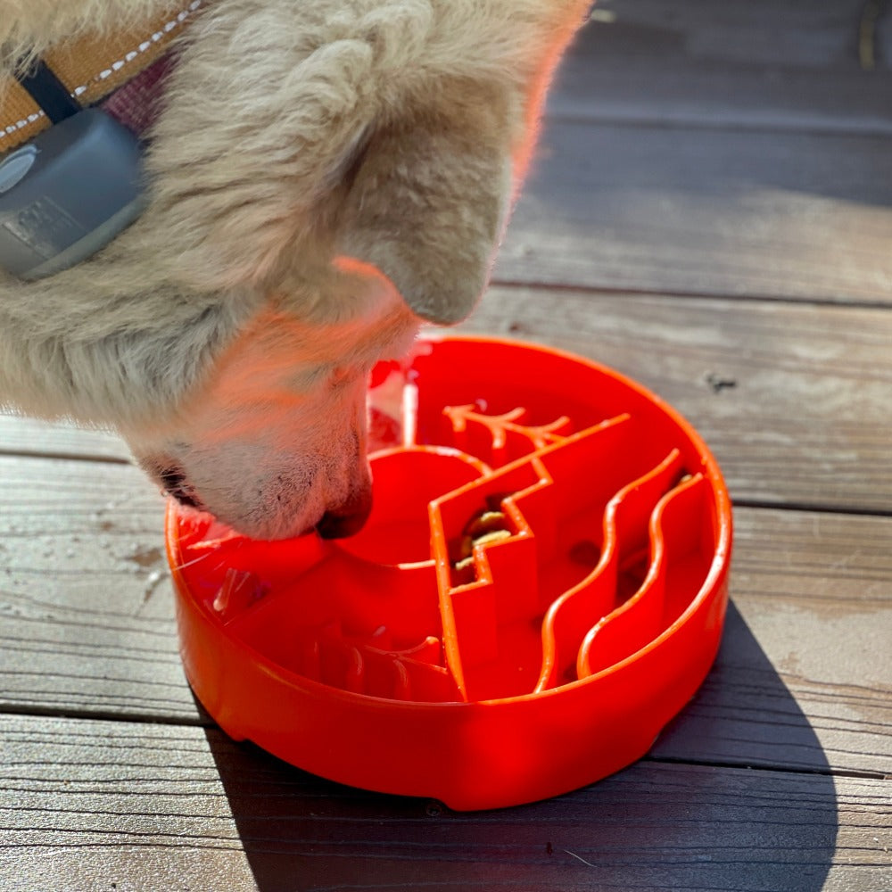 Great Outdoors Design eBowl Enrichment Slow Feeder Bowl for Dogs