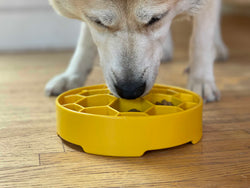 Honeycomb Design eBowl Enrichment Slow Feeder Bowl for Dogs