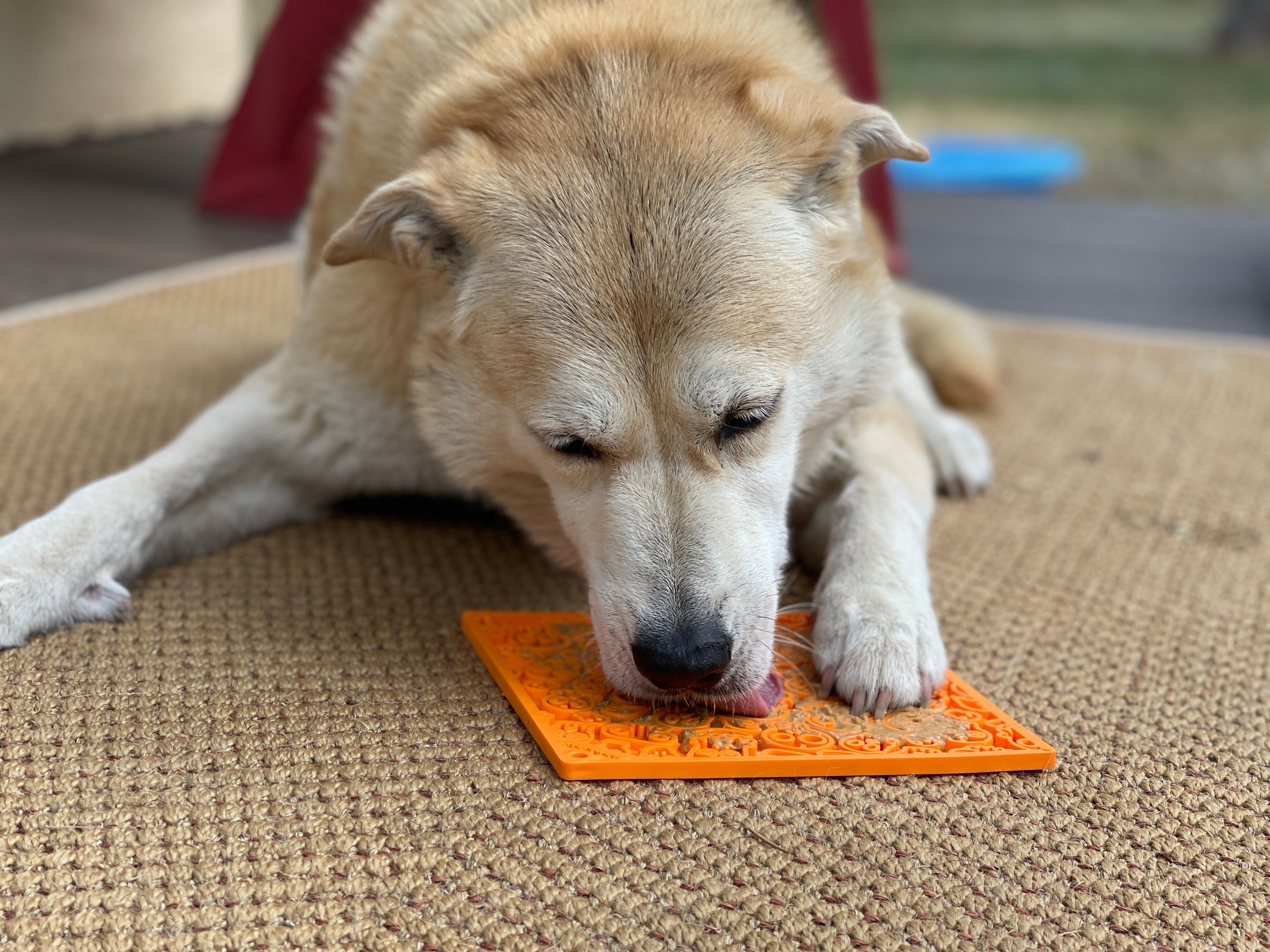 Zombie eMat - Enrichment Lick Mat for Dogs and Cats | Halloween Skull Design | SodaPup