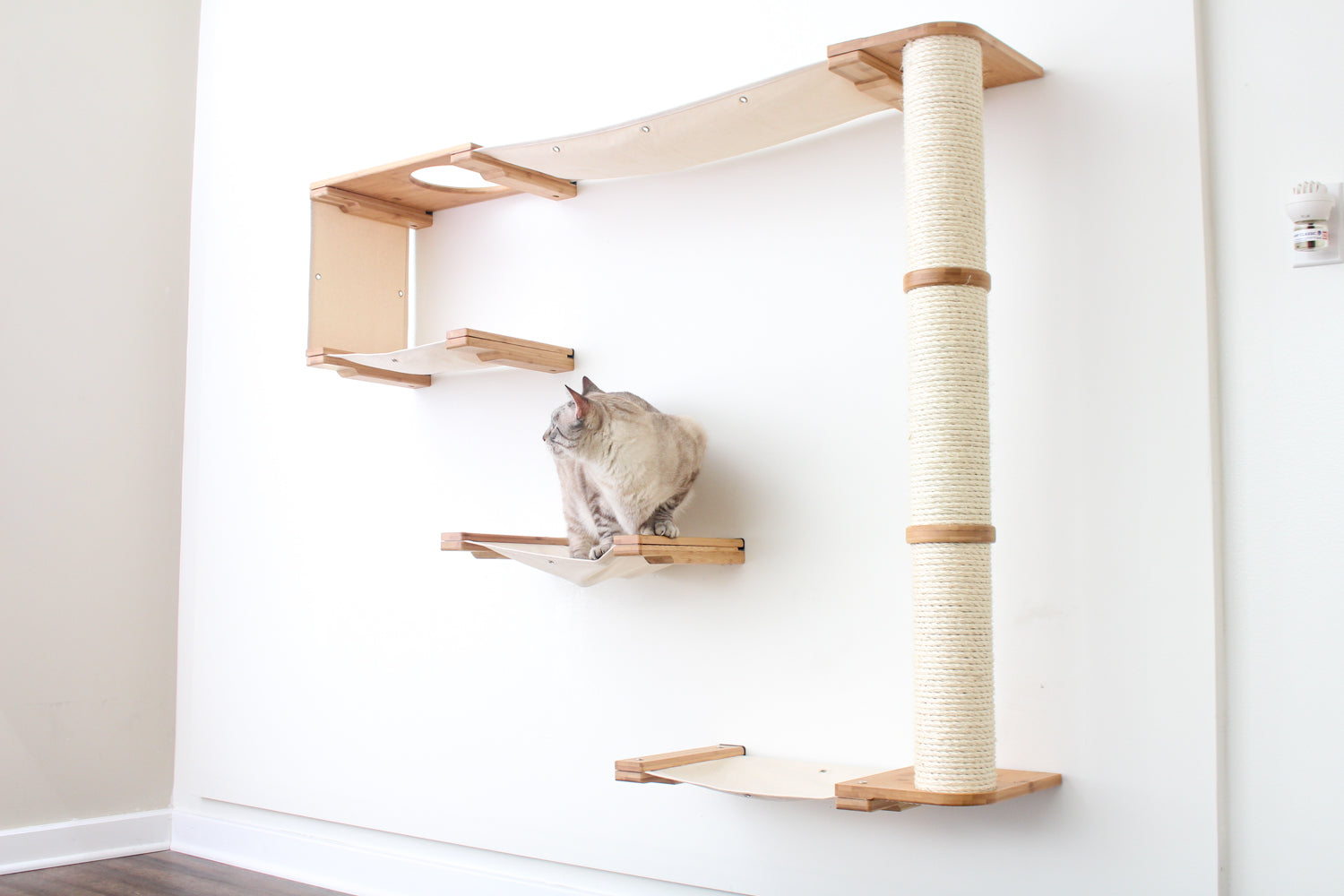 The Climb Condo - Cat Wall Climbing System