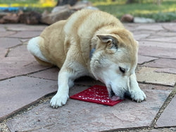 Heart Design "Love" eMat Lick Mat