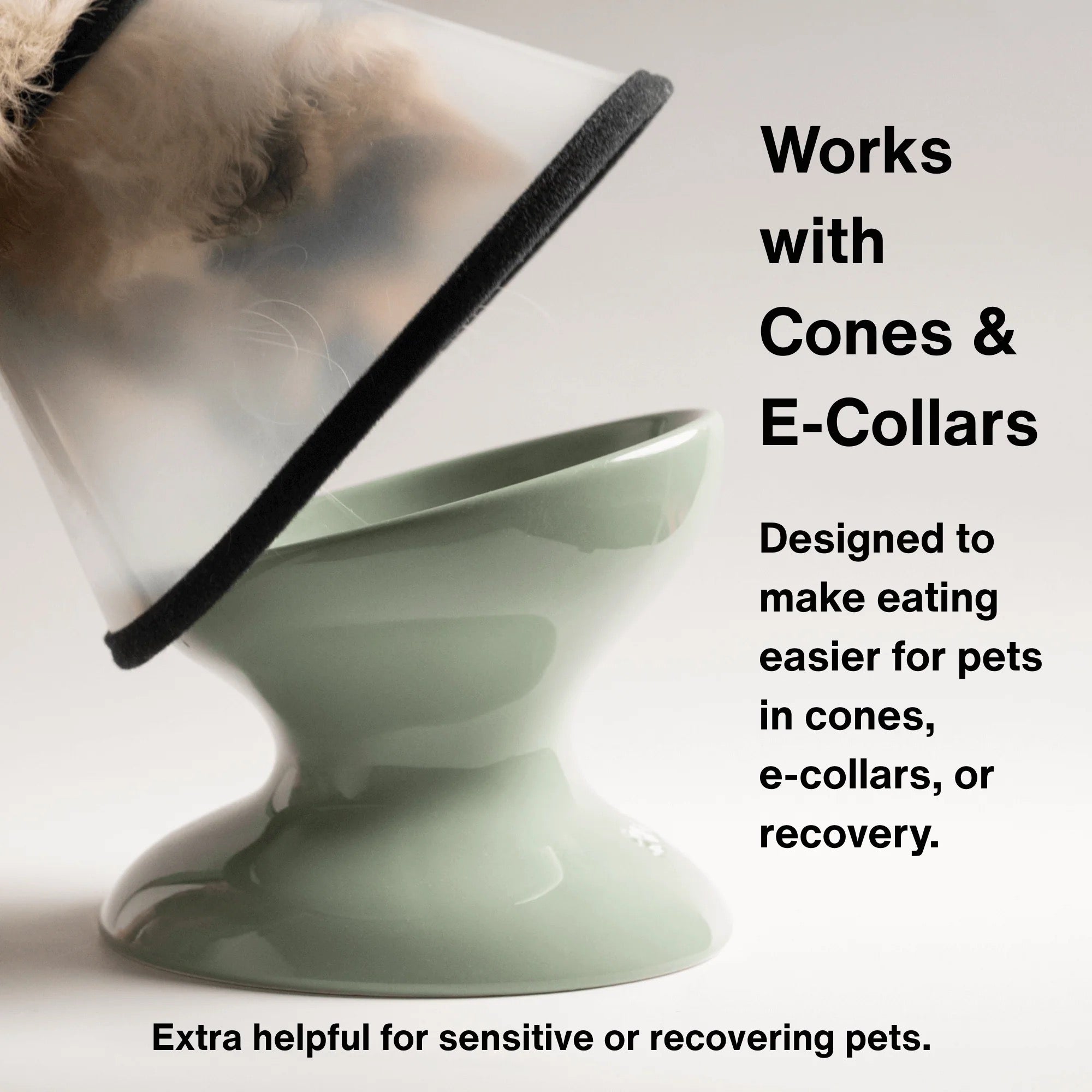 Rawry Elevated Tilted Ceramic Pet Bowl (Seafoam)