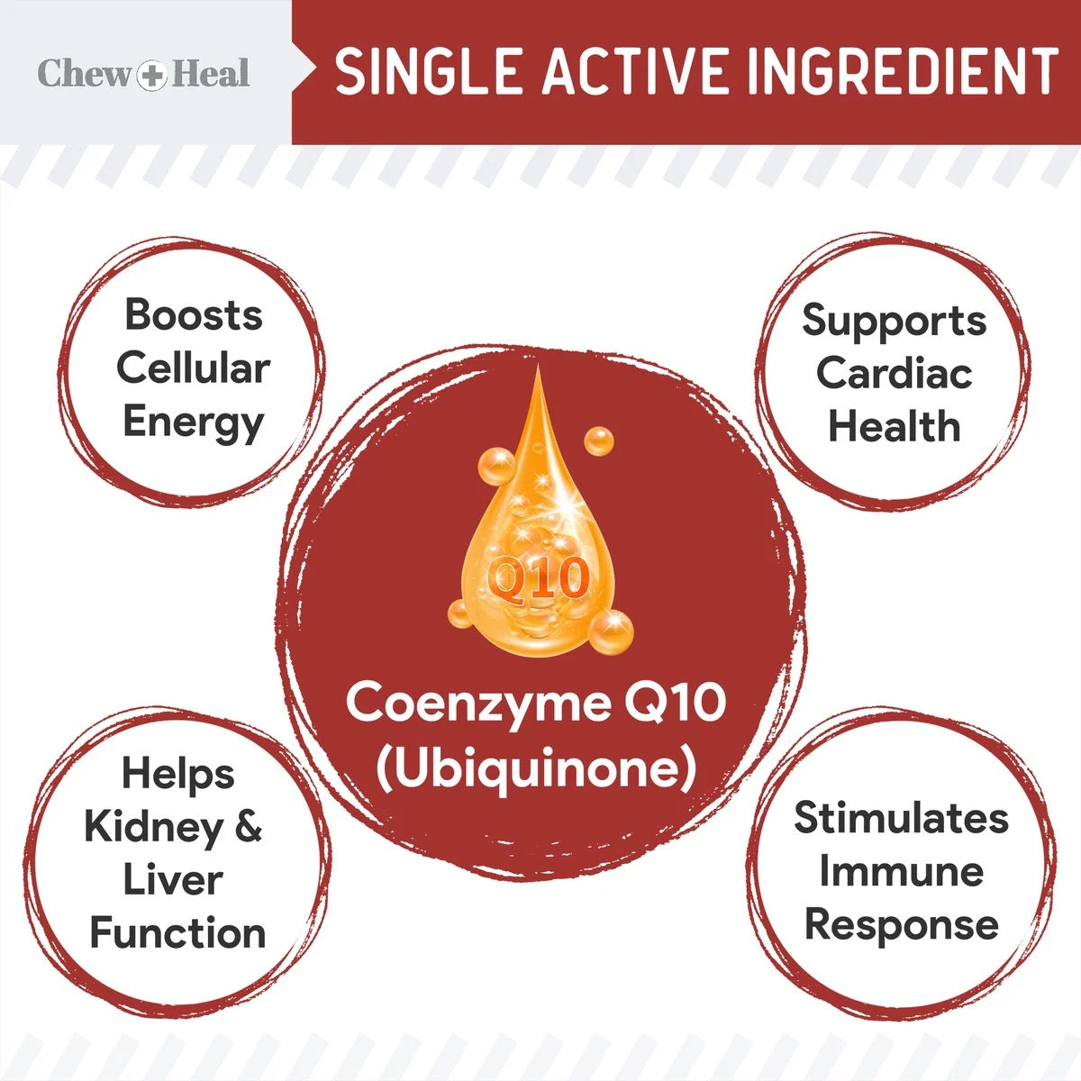 Chew + Heal CoQ10 Heart Support Softgels Supplement for Dogs 60 Soft Gels