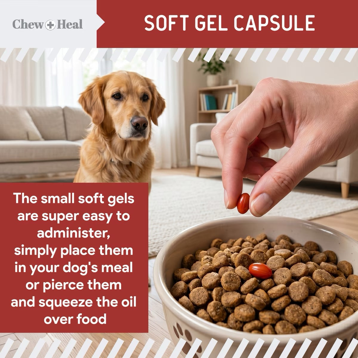 Chew + Heal CoQ10 Heart Support Softgels Supplement for Dogs 60 Soft Gels