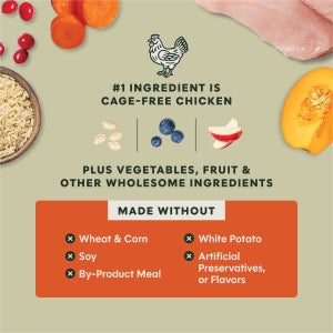 Instinct Raw Boost Whole Grain Gut Health w/ Chicken & Brown Rice (3.5lb)