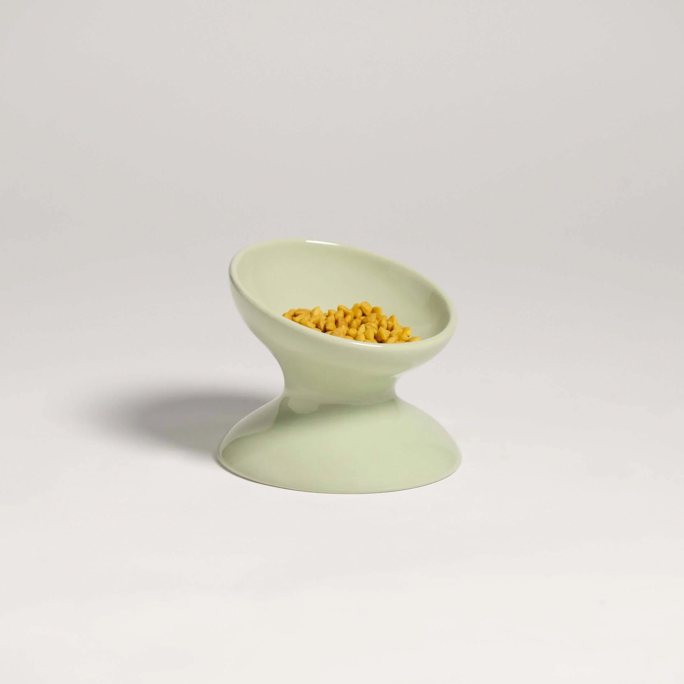Rawry Elevated Tilted Ceramic Pet Bowl (Seafoam)
