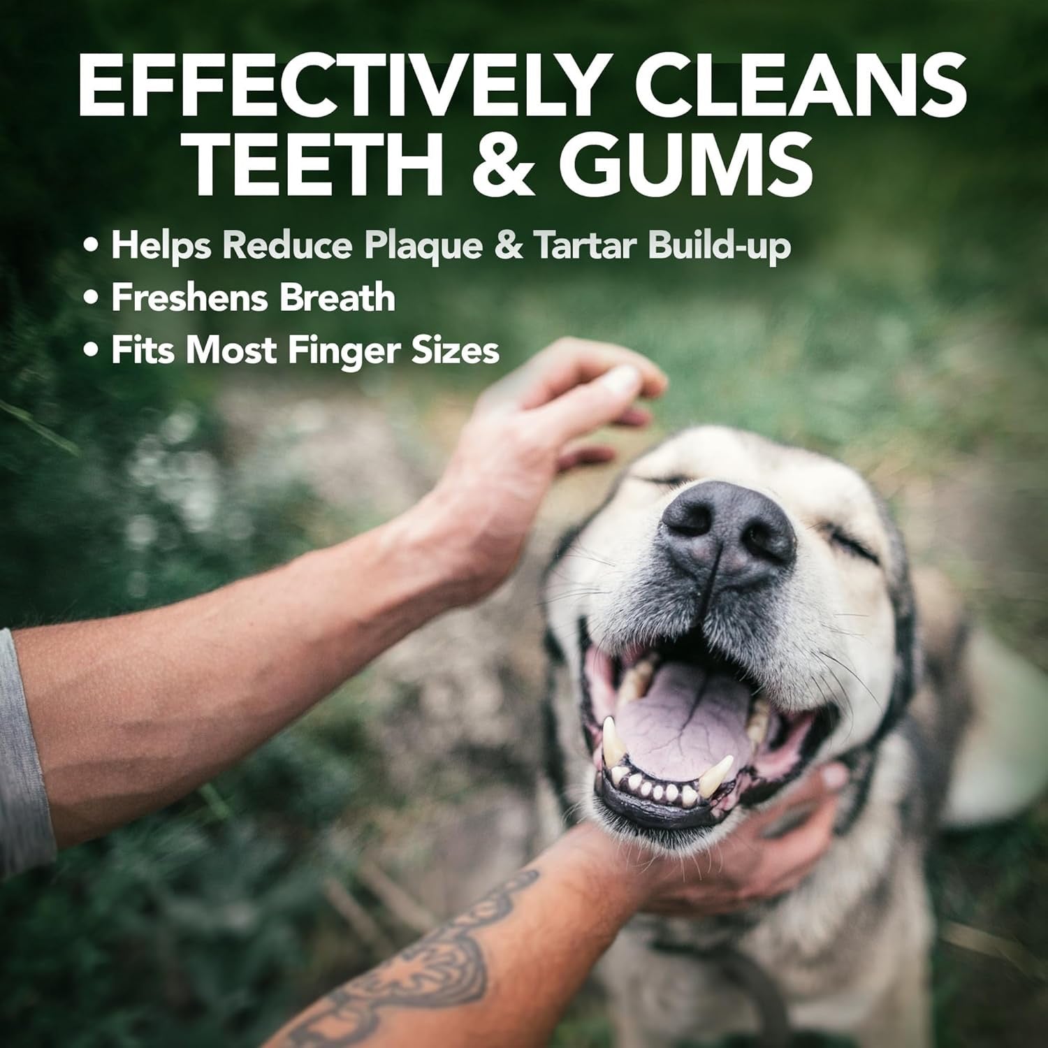 50Ct Vet's Best Dental Care Finger Wipes for Dogs and Cats