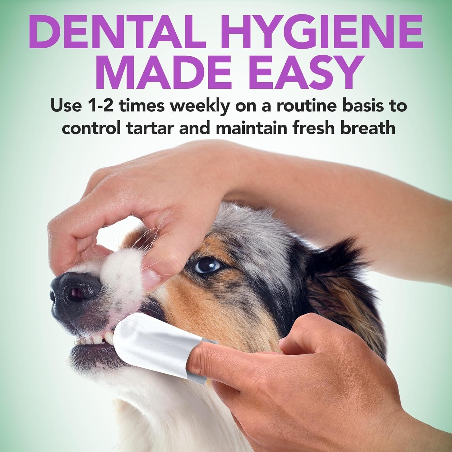 50Ct Vet's Best Dental Care Finger Wipes for Dogs and Cats