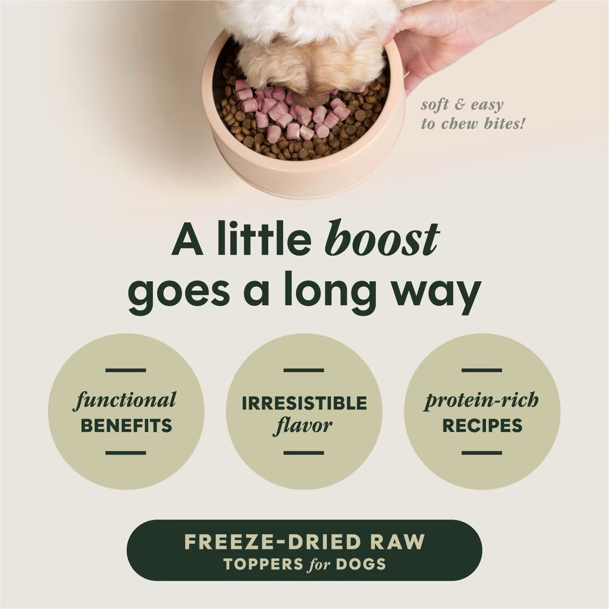 Instinct Raw Boost Mixers Gut Health Grain Free Freeze Dried Chicken Food Topper (12.5oz)