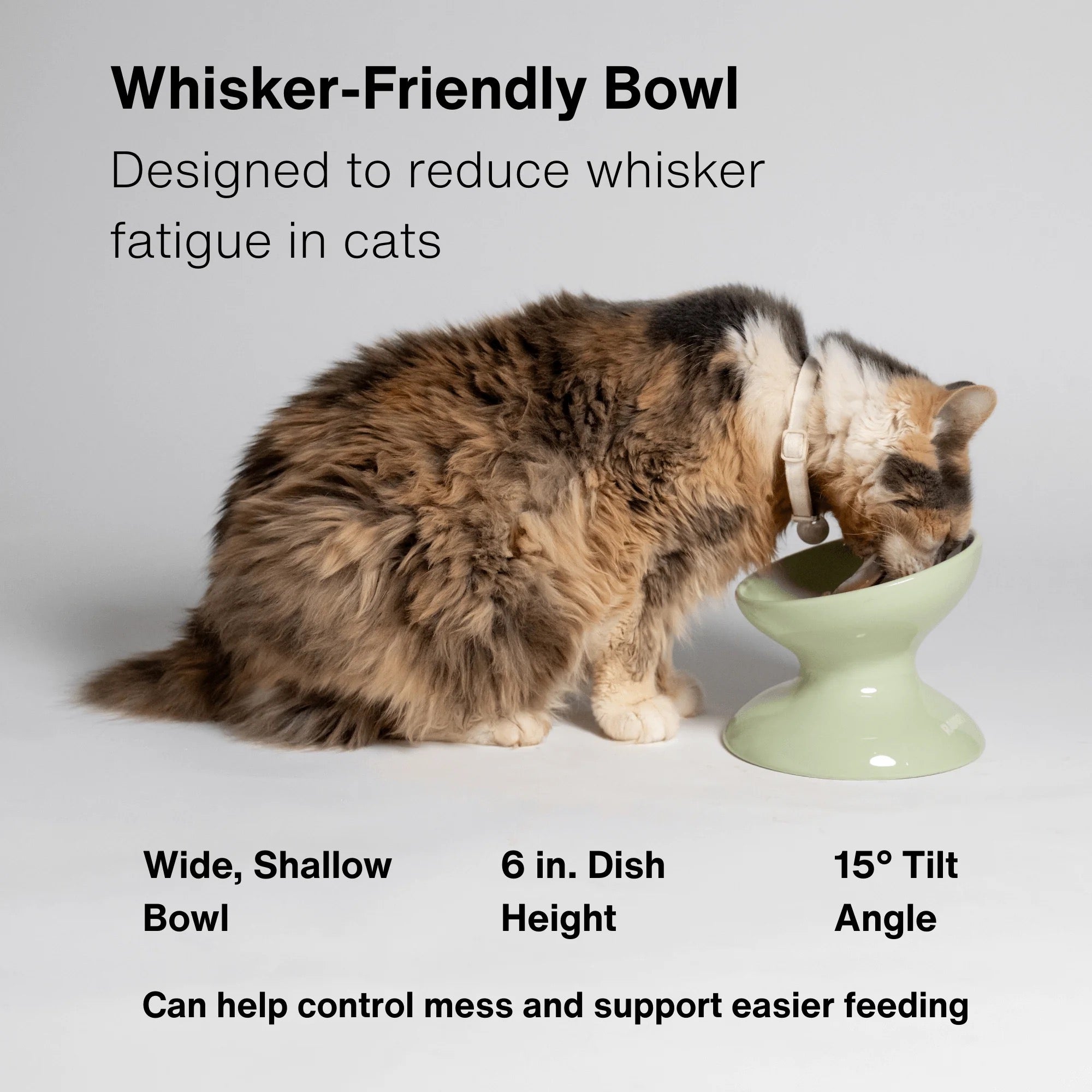 Rawry Elevated Tilted Ceramic Pet Bowl (Seafoam)