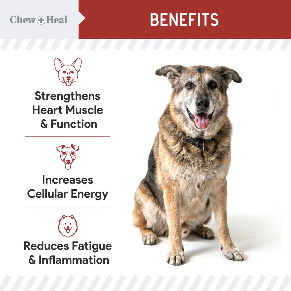 Chew + Heal CoQ10 Heart Support Softgels Supplement for Dogs 60 Soft Gels