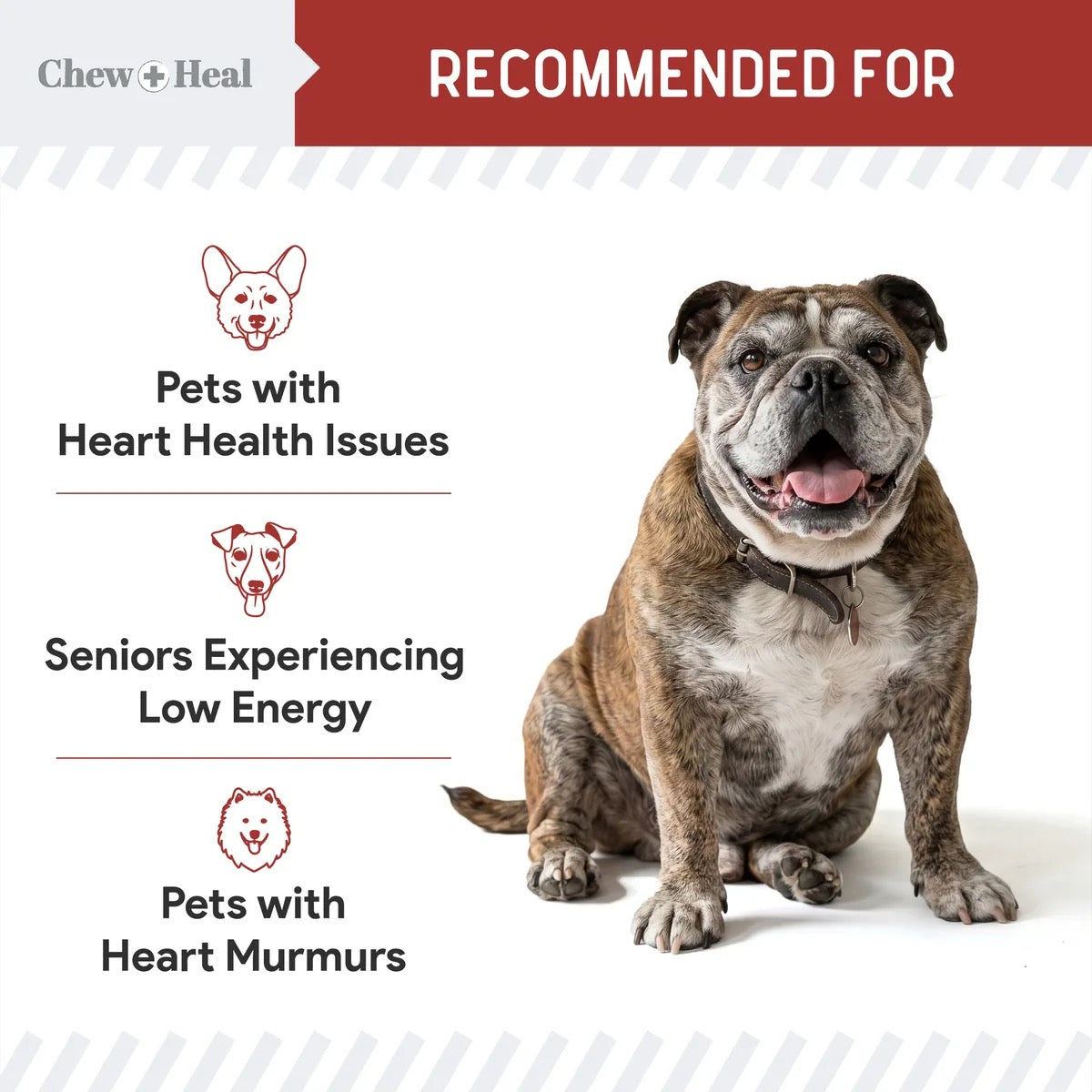 Chew + Heal CoQ10 Heart Support Softgels Supplement for Dogs 60 Soft Gels