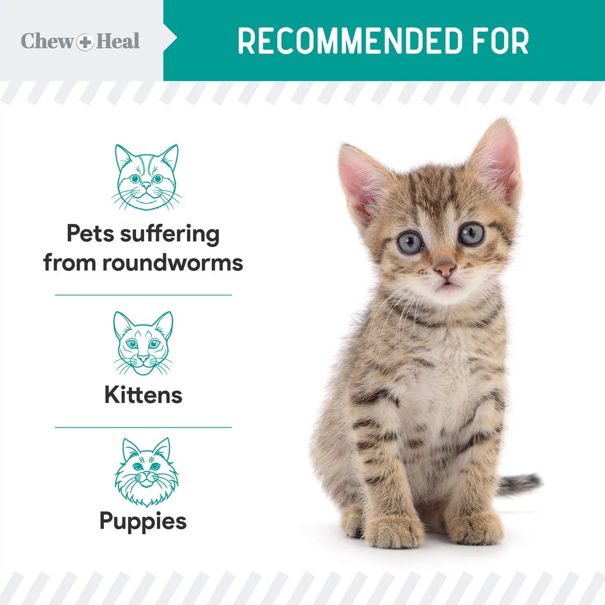 Chew + Heal Stop The Worms Dewormer Liquid for Puppies & Kittens | 4oz