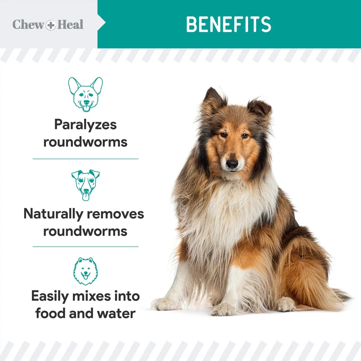 Chew + Heal Stop The Worms Dewormer Liquid for Puppies & Kittens | 4oz