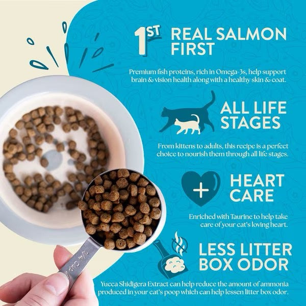 Earthborn Grain Free Wild Sea Catch Dry Cat Food