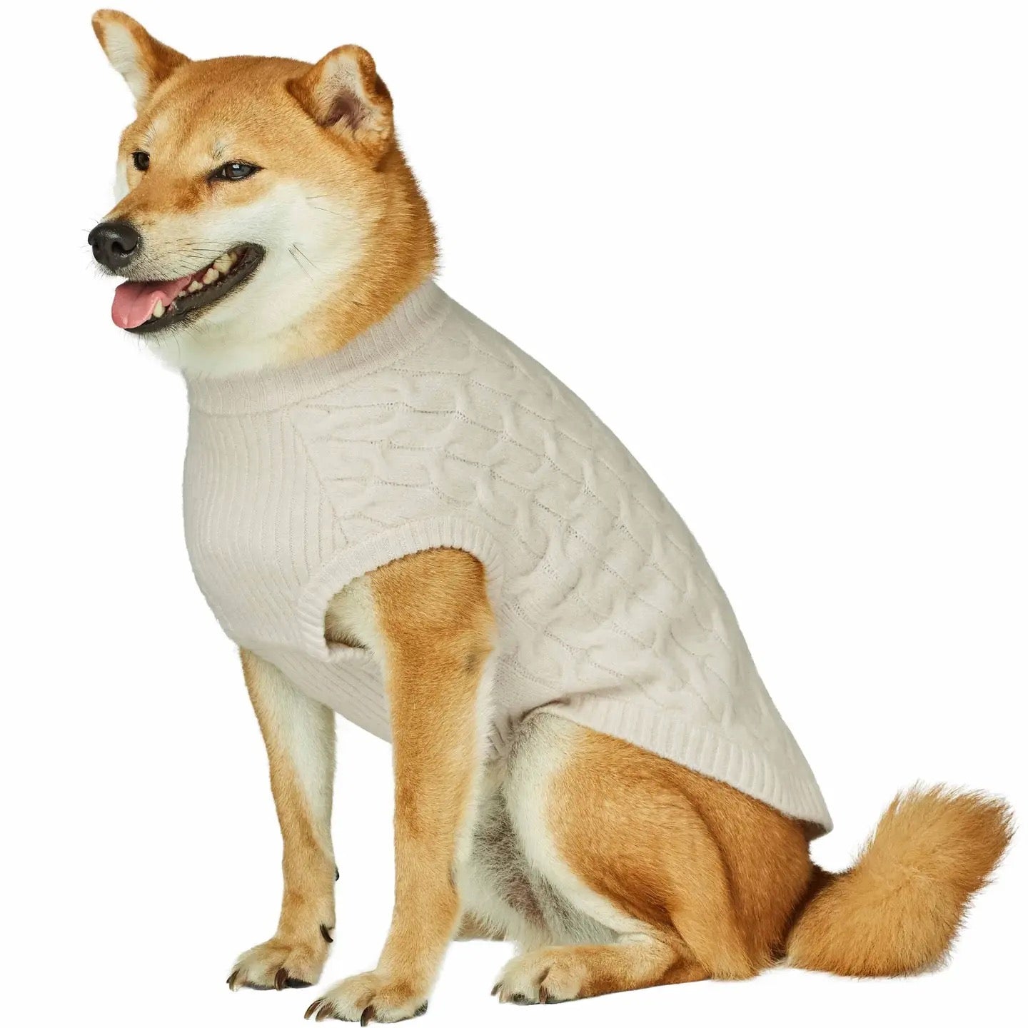 Blueberry Pet Crew-neck Fuzzy Textured Knit Dog Sweater | Ivory