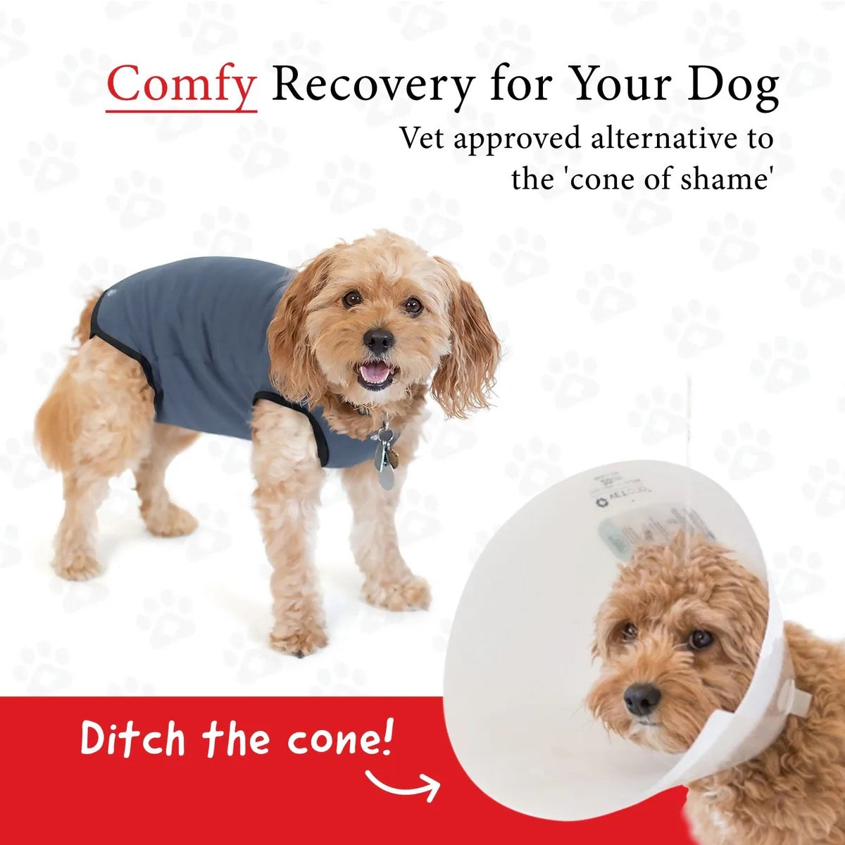 BellyGuard Recovery Suit For Dogs - Grey