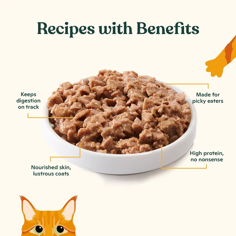 Made By Nacho Minced Salmon & Sole Wet Cat Food (3oz)