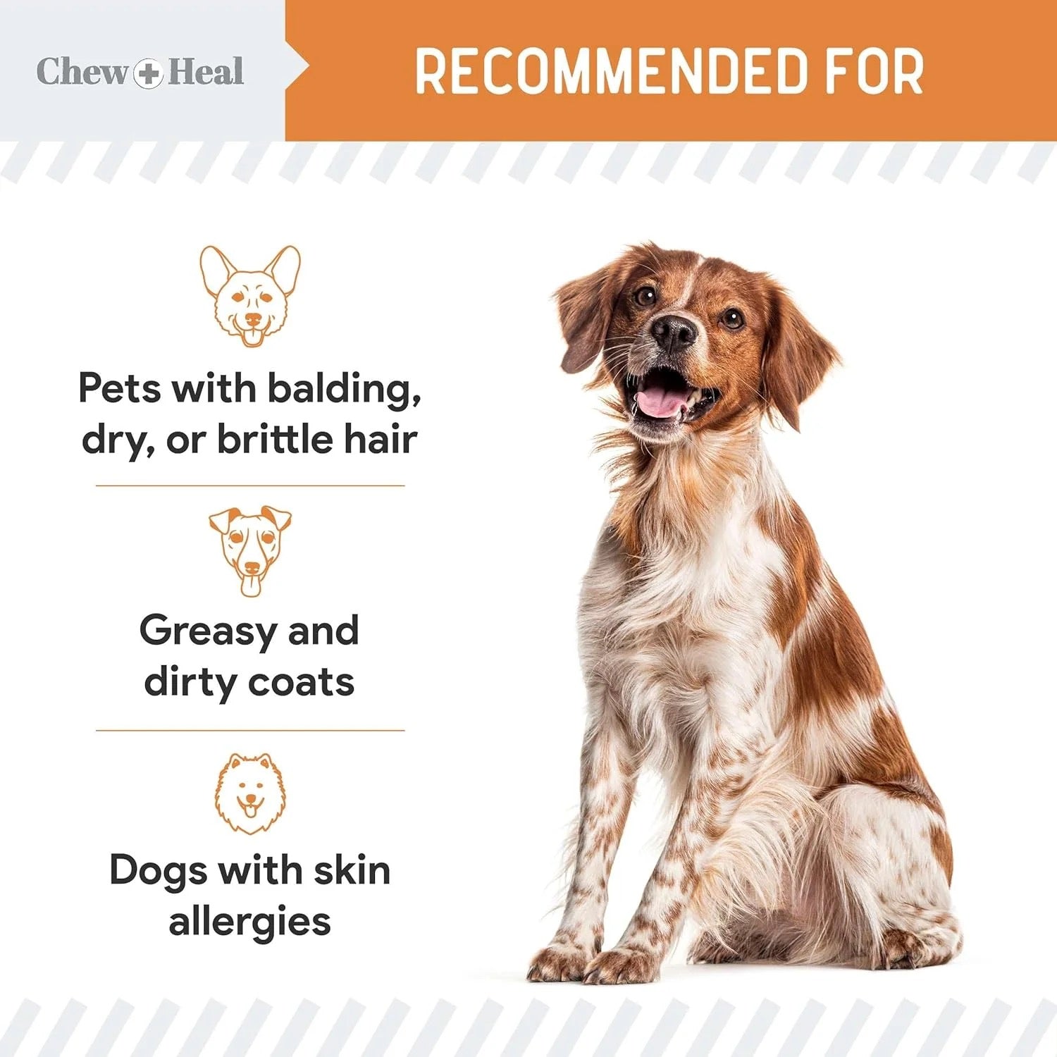 Chew + Heal Omega-3 Softgels Made With Wild-Caught Fish - 180 Capsules