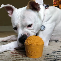 BullyMake Toss N' Treat Popcorn Bucket Dog Chew Toy, Popcorn Scented