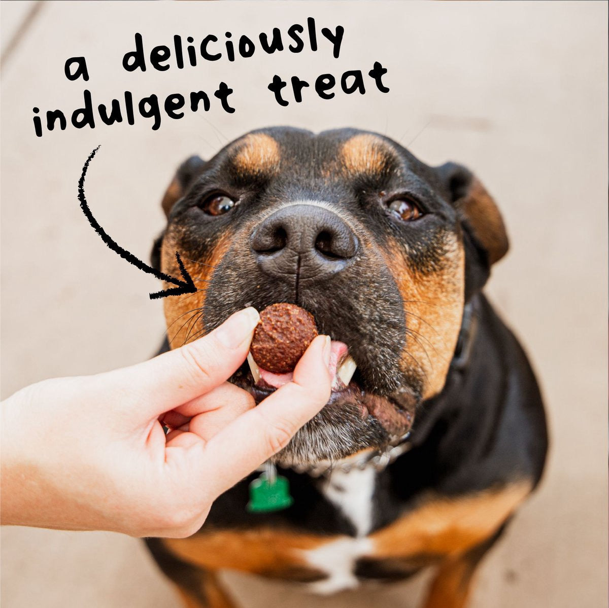 Wagmore Grain Free Beef Meatball Bites Dog Treats (14oz)