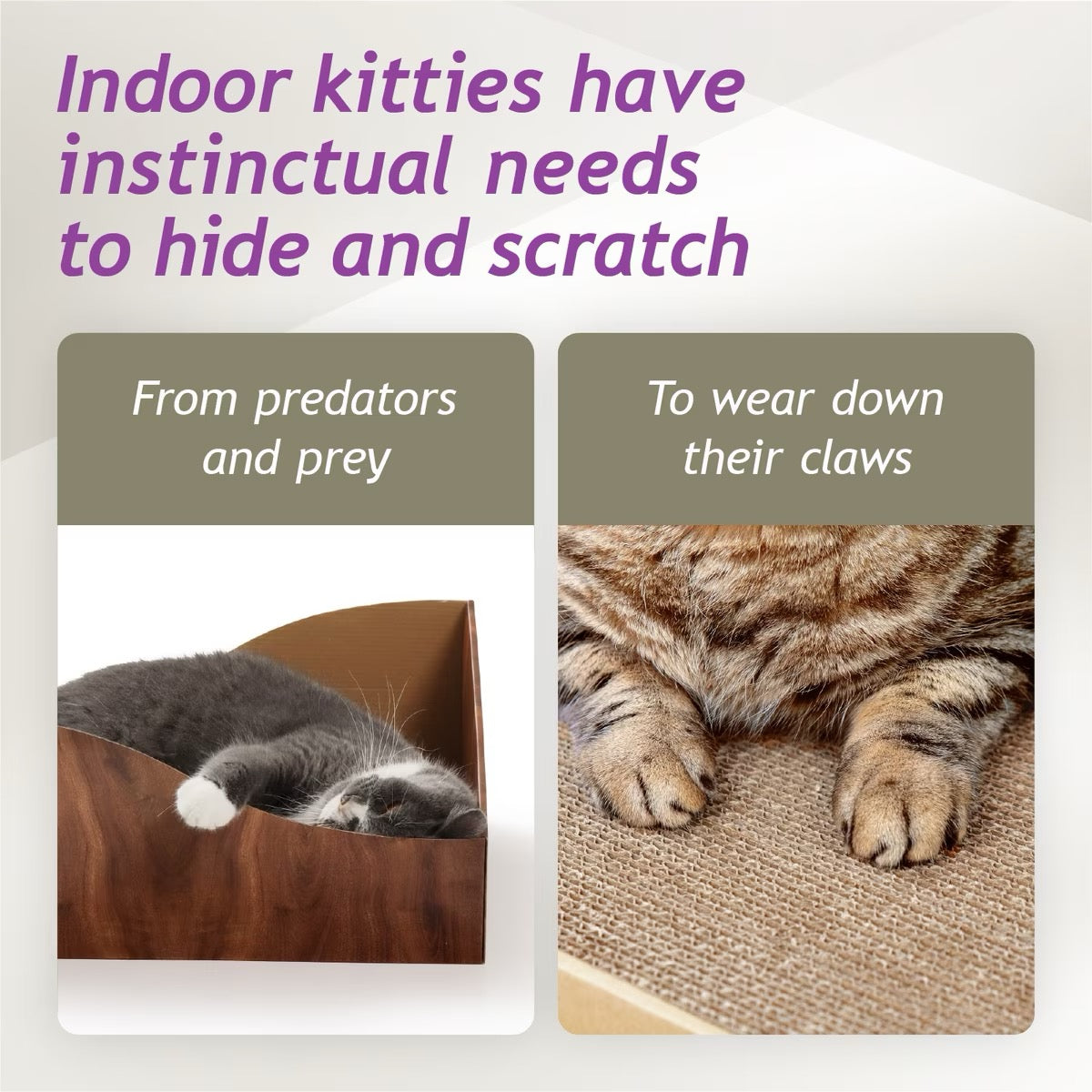 Necoichi Hideaway Cat Scratcher Box (Dark Cherry)