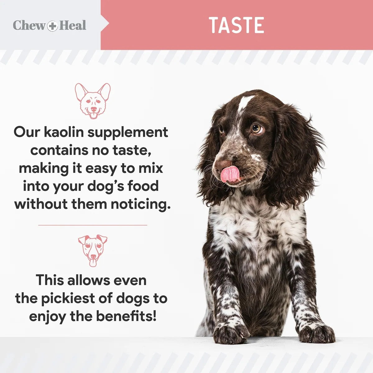 Chew + Heal Stop the Diarrhea, Anti Diarrhea for Dogs | 2oz