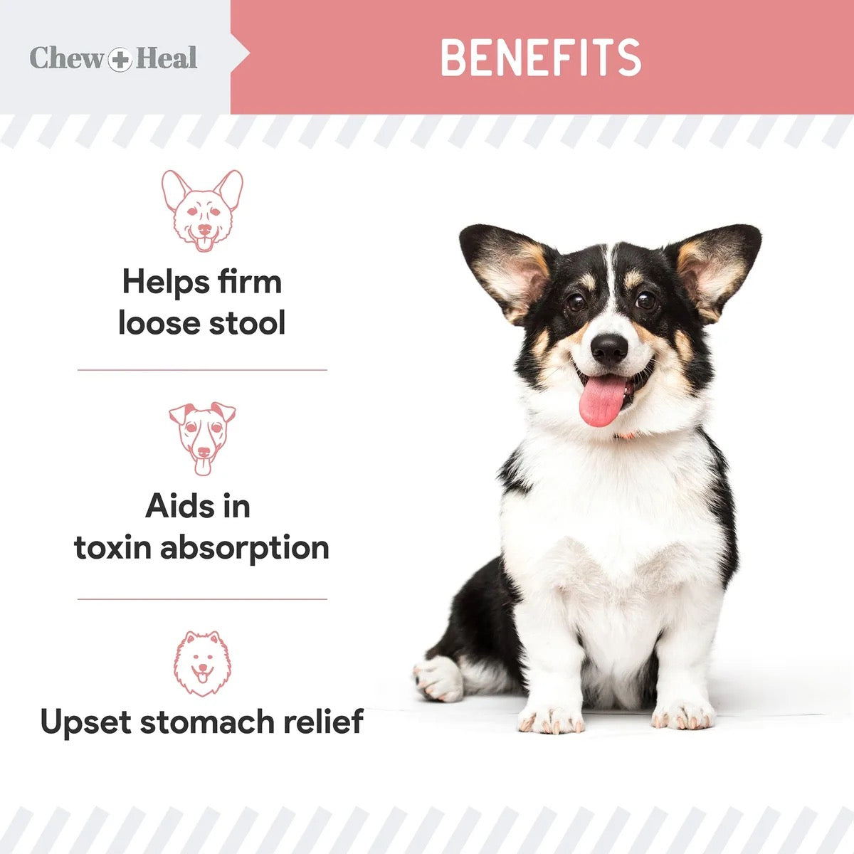 Chew + Heal Stop the Diarrhea, Anti Diarrhea for Dogs | 2oz