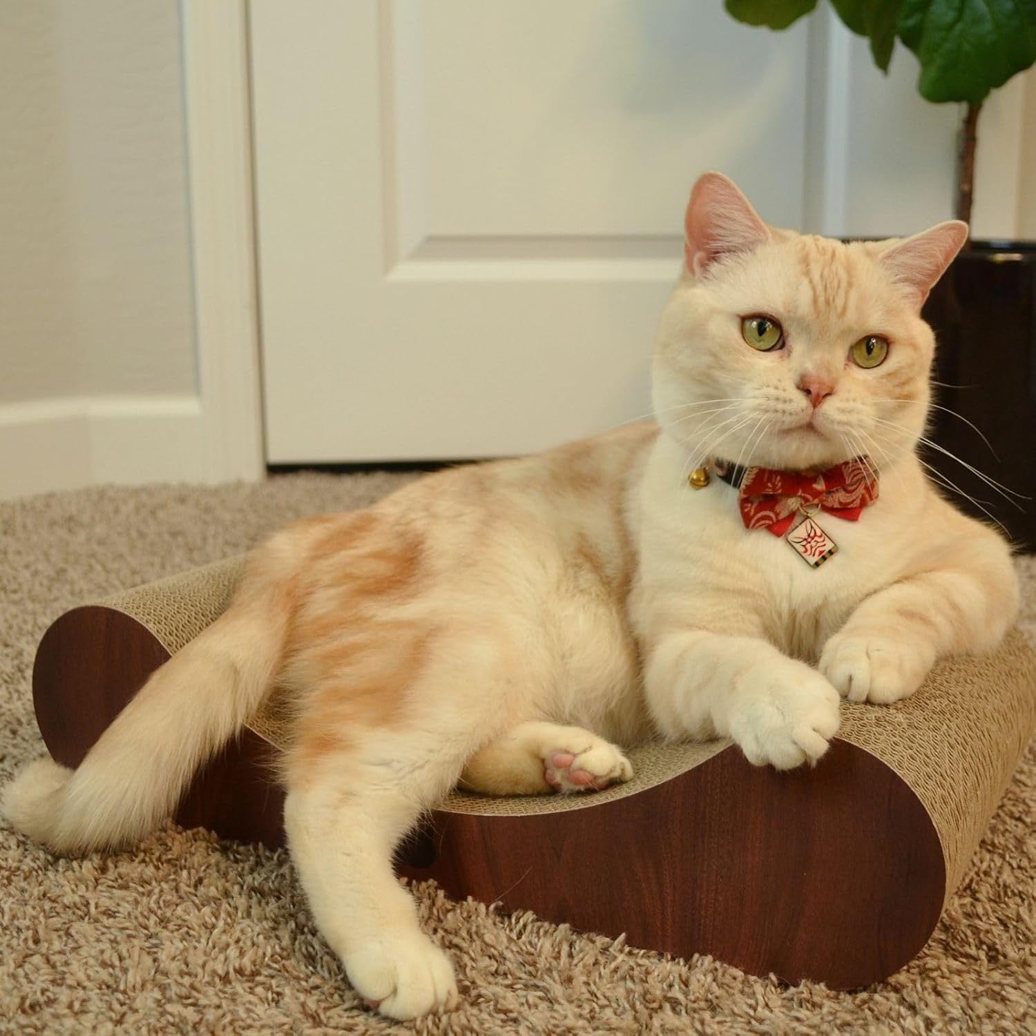 Necoichi Premium Comfort Curved Cat Lounger (Dark Cherry)