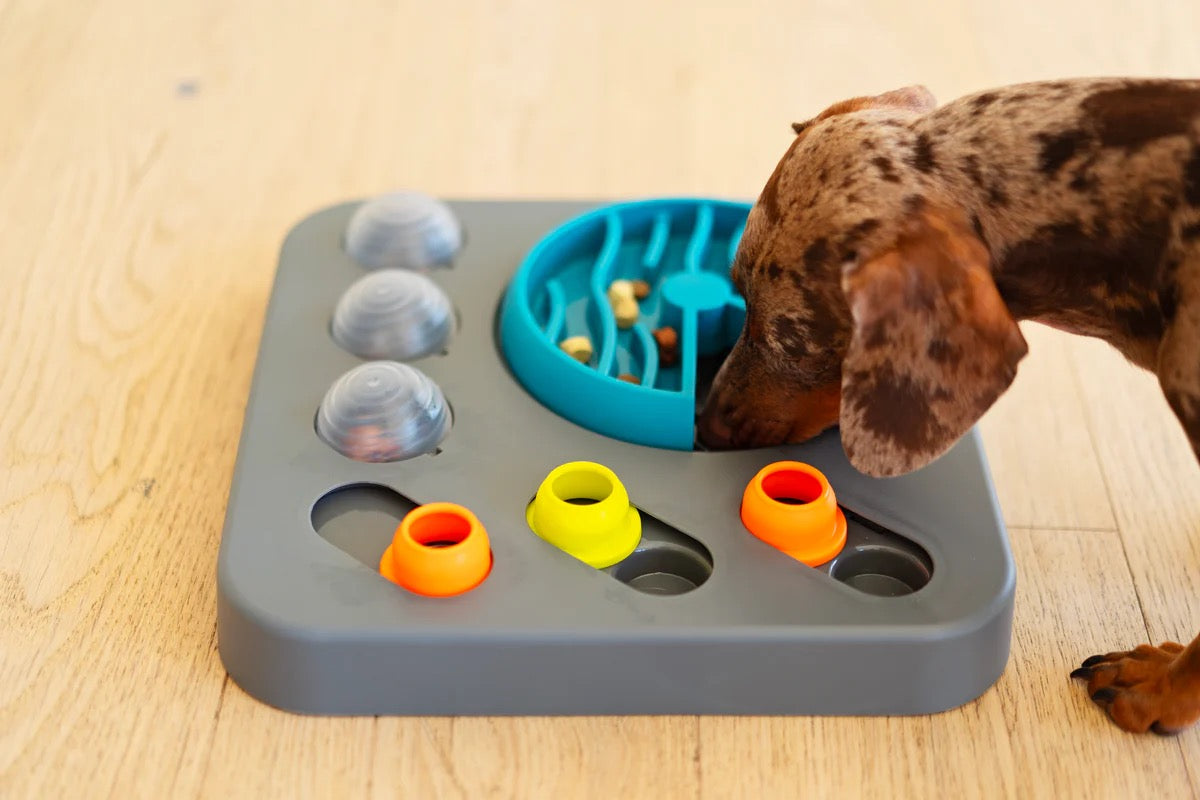 Messy Mutts Flip n Slide Puzzler