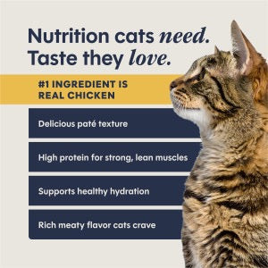 Instinct Pate Grain Free Chicken Split Cup Cat Food (2.64oz)