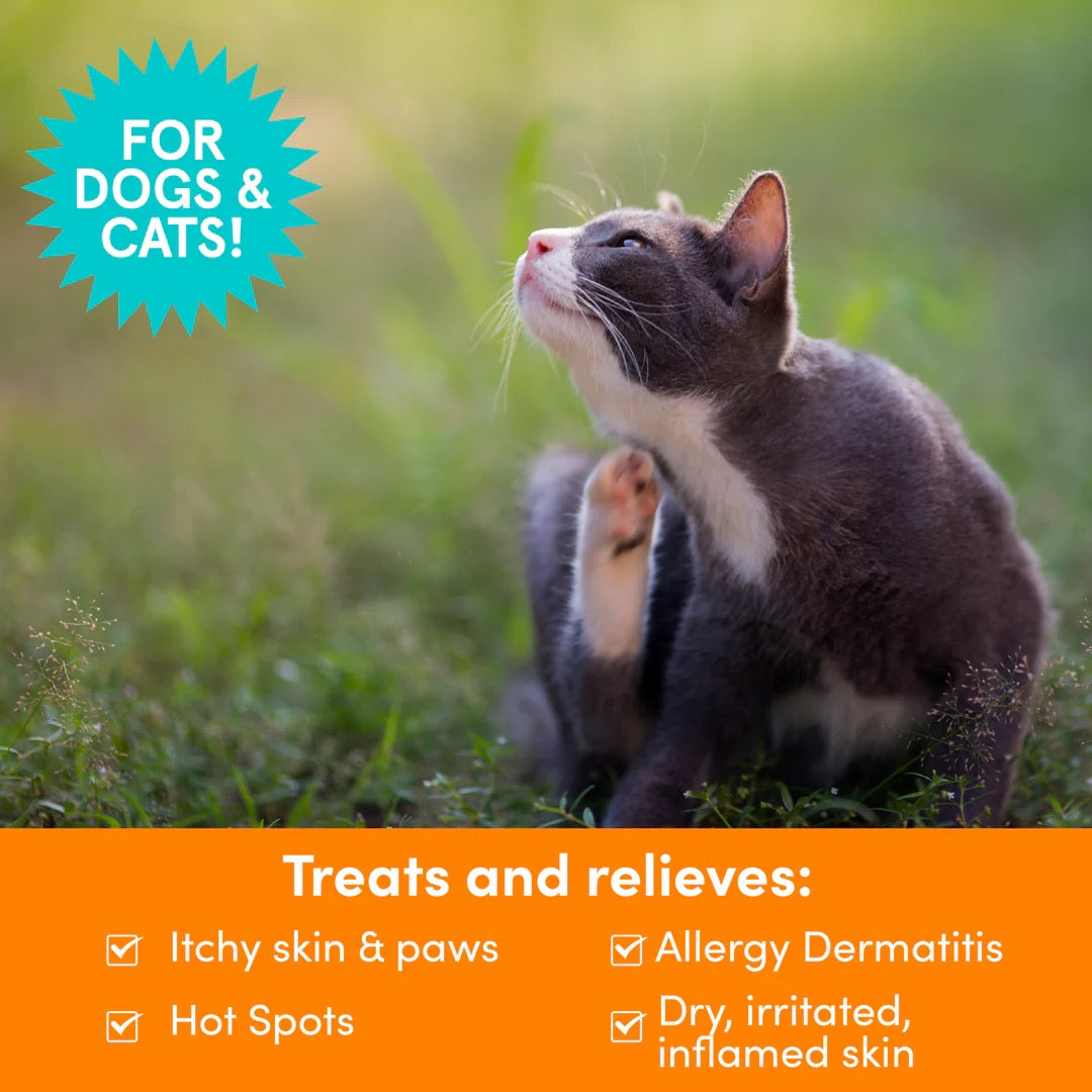 Nootie Itch Relief Medicated Pet Shampoo (8oz)