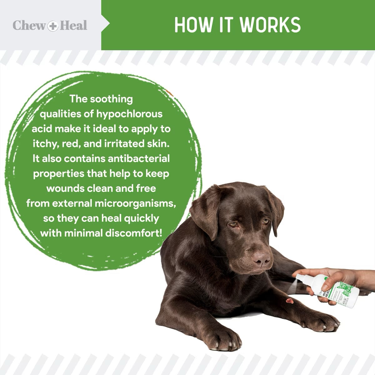 Chew + Heal Wounds + Sores Healing Aid Spray for Dogs & Cats 4oz