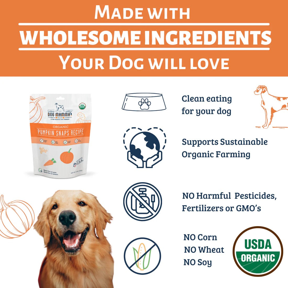 Dog Mamma's Organic Pumpkin Snaps Recipe Oven Baked Dog Treats (6oz)