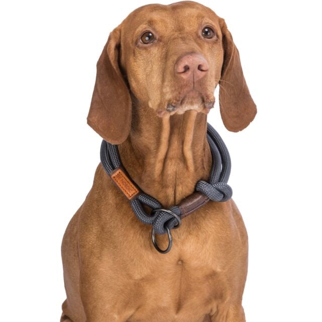 Trixie Riverstone Slip-Stop Collar (Gray)