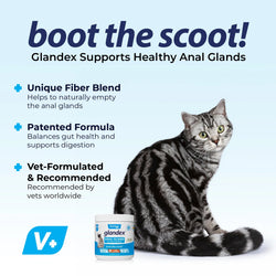 Glandex Feline Anal Gland Support Tuna Flavored Powder (4oz)