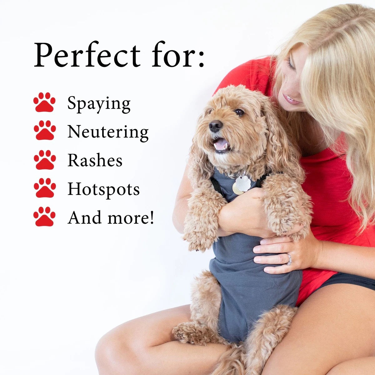 BellyGuard Recovery Suit For Dogs - Grey