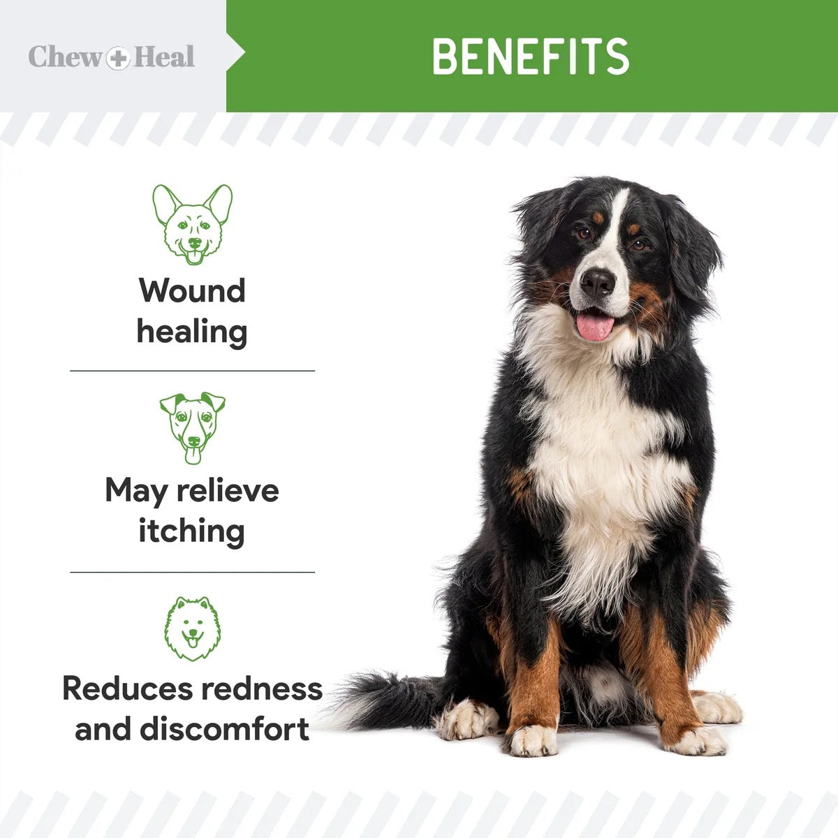 Chew + Heal Wounds + Sores Healing Aid Spray for Dogs & Cats 4oz