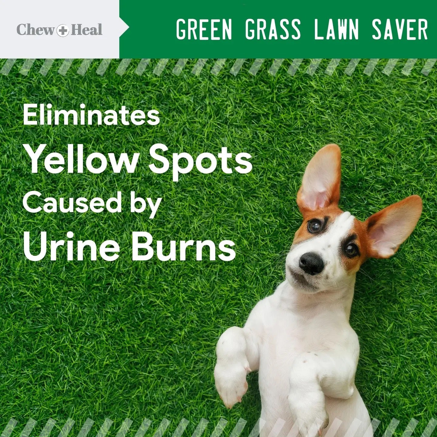 Chew + Heal Grass Saver Chews For Dogs | Dog Urine Grass Saver | 120 Soft Chews