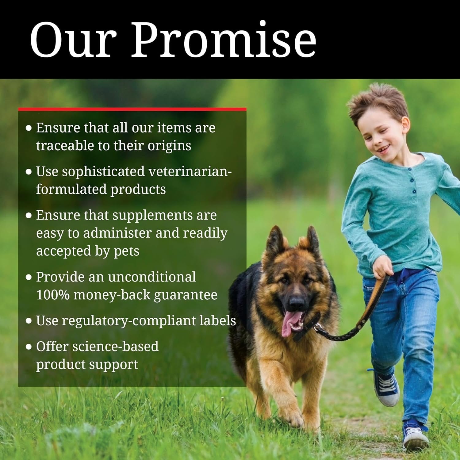 2" Nutri-Vet Bitter Bandage for Dogs & Cats