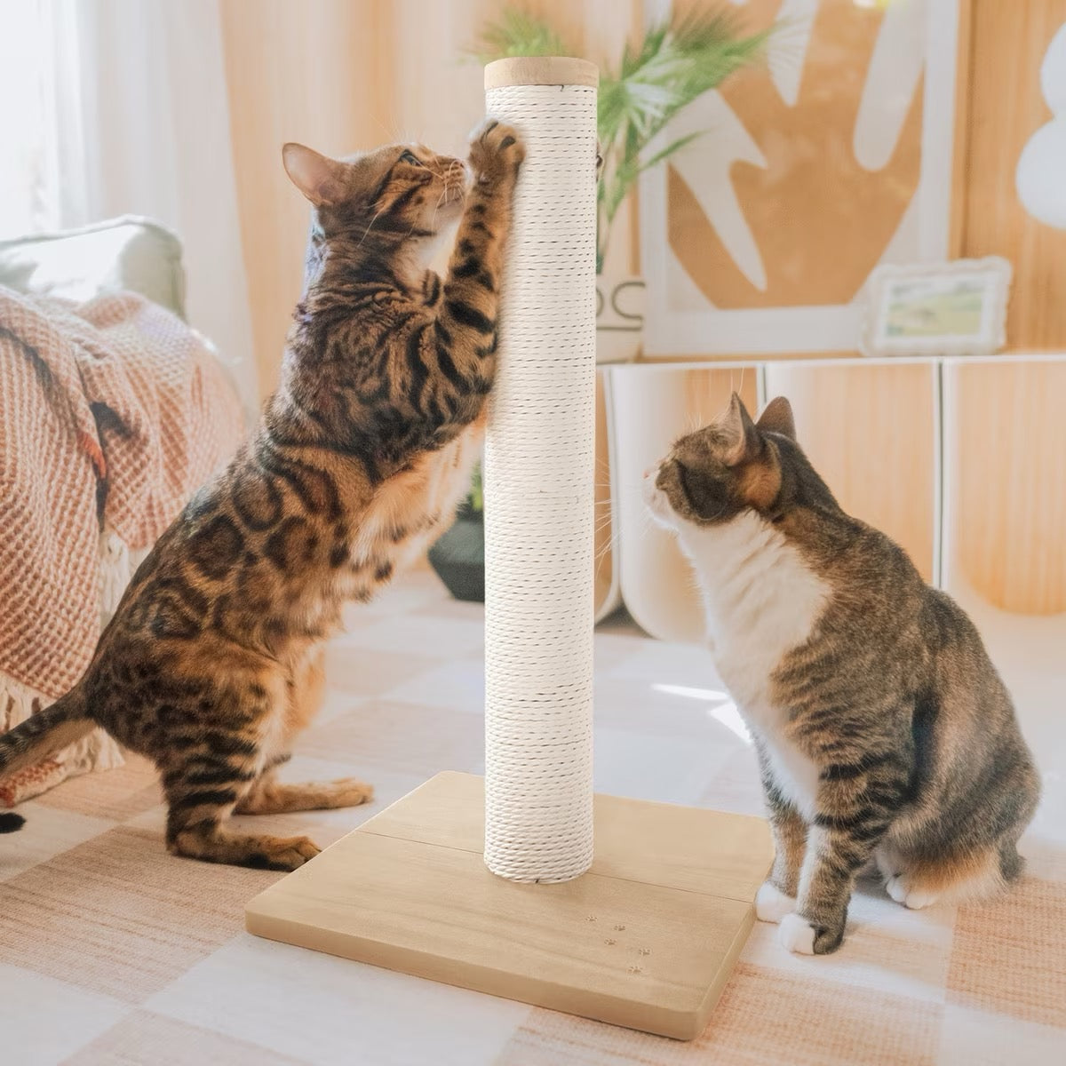 Necoichi Premium Comfort Scratching Post | Oak