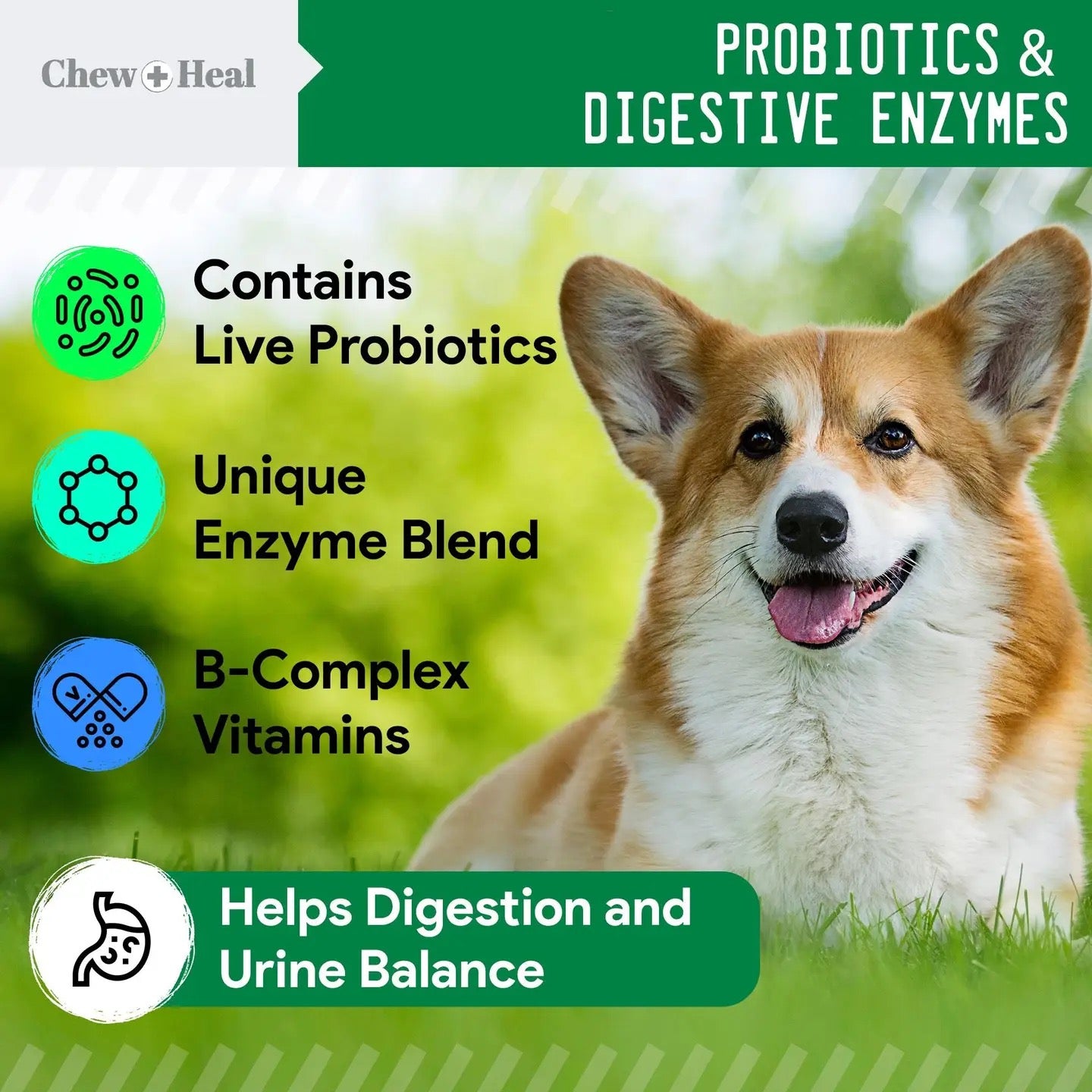 Chew + Heal Grass Saver Chews For Dogs | Dog Urine Grass Saver | 120 Soft Chews