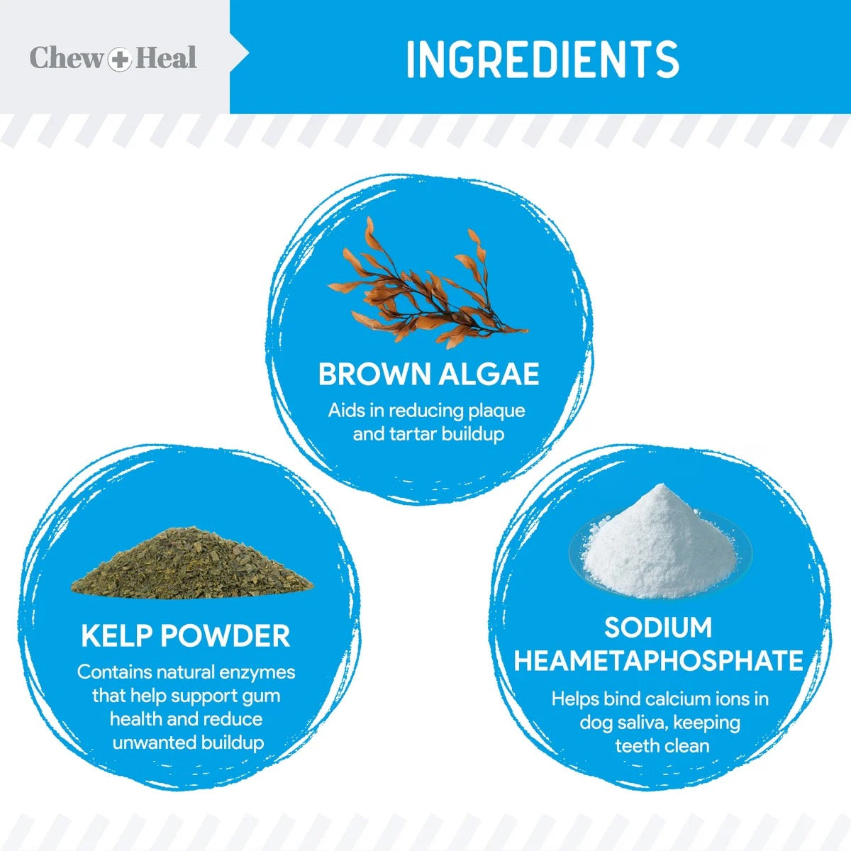 Chew + Heal Advanced Dental Support Powder with 6 Actives for Dogs 4oz