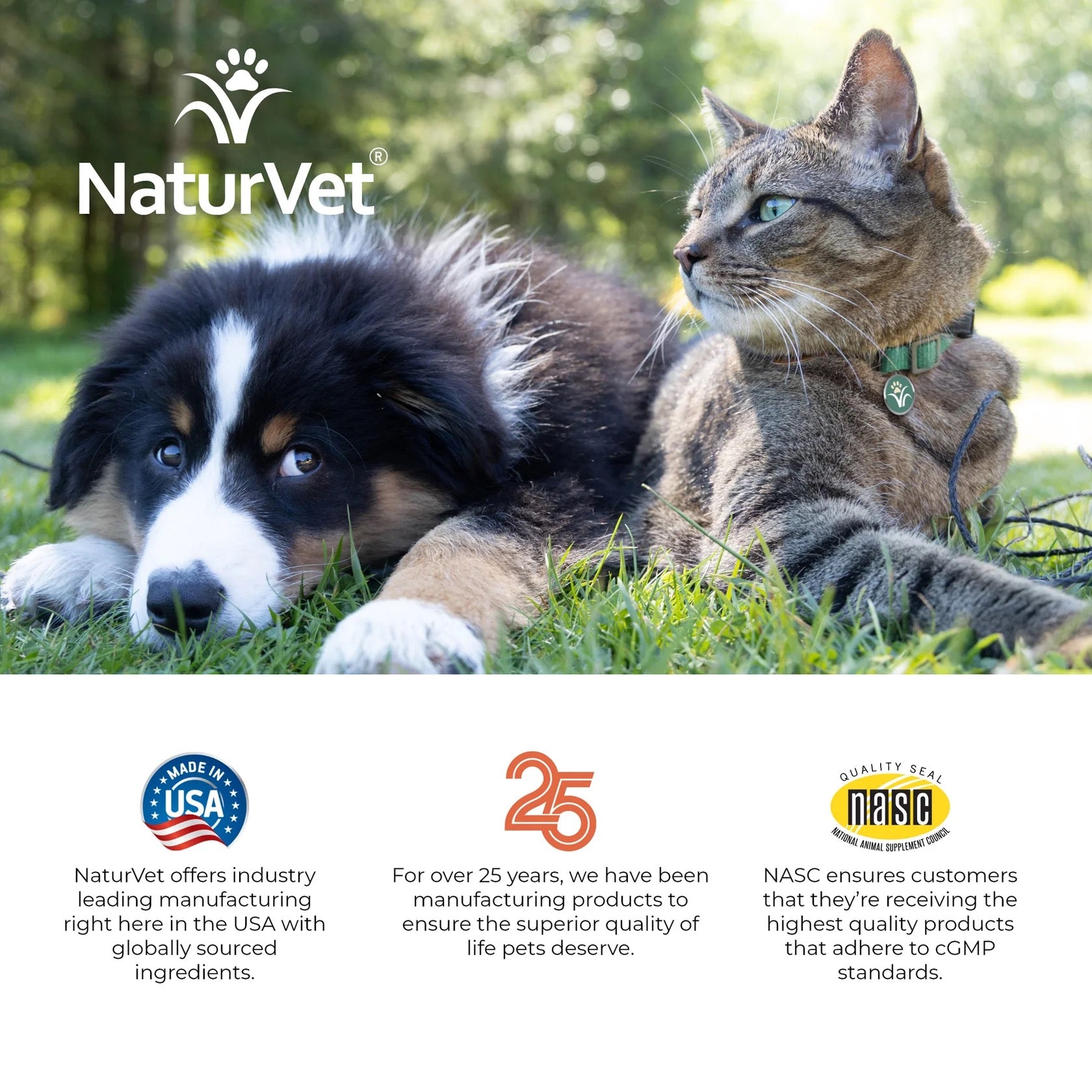 13oz NaturVet All in one Daily Enzymatic Powder